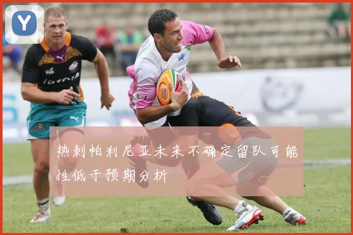 热刺帕利尼亚未来不确定留队可能性低于预期分析