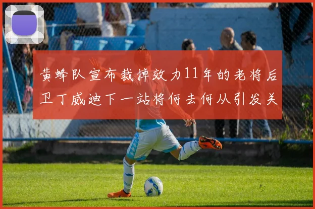 黄蜂队宣布裁掉效力11年的老将后卫丁威迪下一站将何去何从引发关注