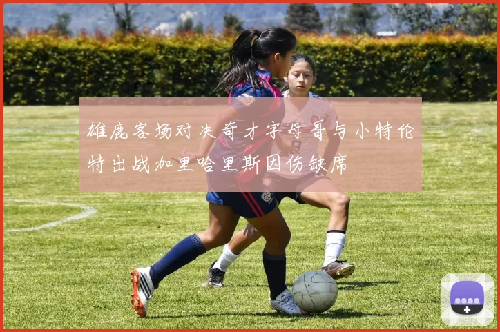雄鹿客场对决奇才字母哥与小特伦特出战加里哈里斯因伤缺席