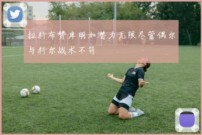 拉科布赞库明加潜力无限尽管偶尔与科尔战术不符
