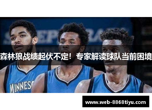 森林狼战绩起伏不定！专家解读球队当前困境